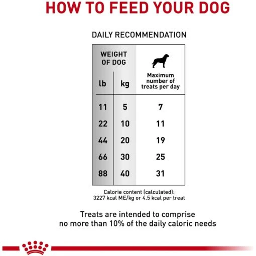 Royal Canin Veterinary Diet Adult Gastrointestinal Dog Treats -Dog Supplies 100467 PT3. AC SS1800 V1701982730