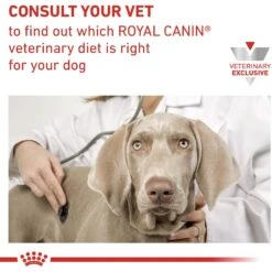 Royal Canin Veterinary Diet Adult Gastrointestinal Dog Treats -Dog Supplies 100467 PT6. AC SS1800 V1701982758