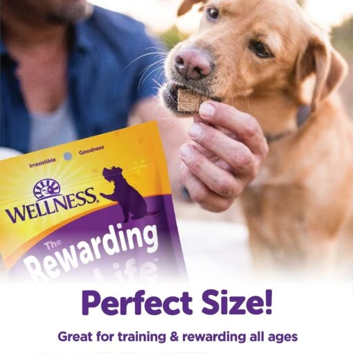 Wellness The Rewarding Life Lamb & Salmon Soft & Chewy Natural Dog Treats -Dog Supplies 104301 PT4. AC SS1800 V1646347053