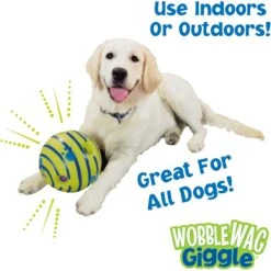 As Seen On TV Wobble Wag Giggle Ball Dog Toy -Dog Supplies 104397 PT5. AC SS1800 V1537196816