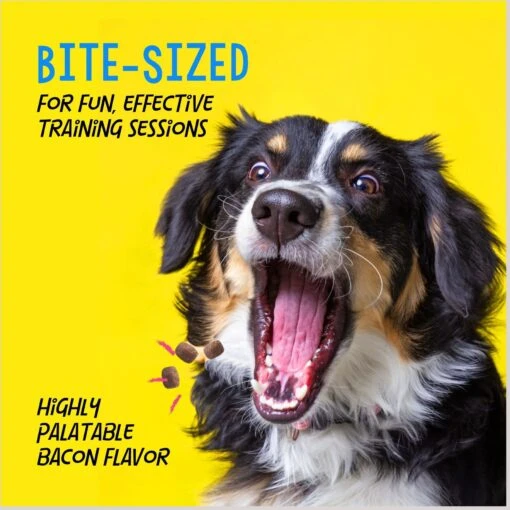 Crazy Dog Train-Me! Bacon Flavor Dog Treats -Dog Supplies 105765 PT4. AC SS1800 V1680811973