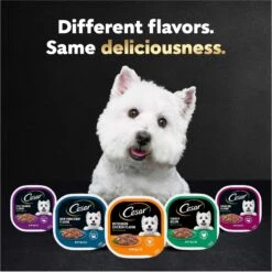 Cesar Filets In Gravy Beef Flavors Variety Pack Small Breed Adult Wet Dog Food -Dog Supplies 110539 PT8. AC SS1800 V1695674572