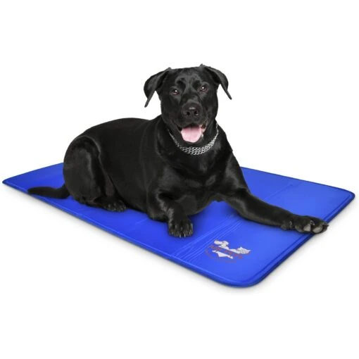 Arf Pets Self-Cooling Solid Gel Dog Crate Mat -Dog Supplies 112038 MAIN. AC SS1800 V1594917065