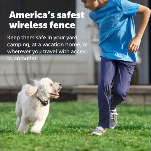 PetSafe Stay & Play Wireless Fence With Replaceable Battery Collar -Dog Supplies 113385 PT4. AC SS1800 V1685726942