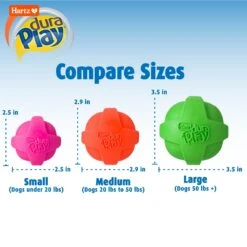 Hartz Dura Play Ball Squeaky Latex Dog Toy, Color Varies -Dog Supplies 113807 PT2. AC SS1800 V1660340091