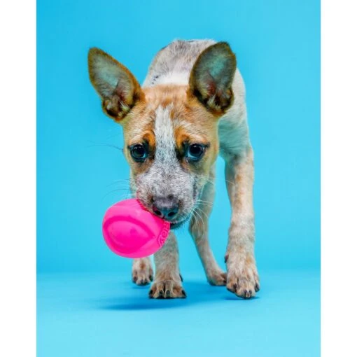 Hartz Dura Play Ball Squeaky Latex Dog Toy, Color Varies -Dog Supplies 113807 PT3. AC SS1800 V1660339245