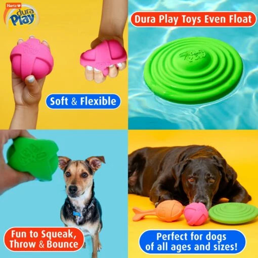 Hartz Dura Play Ball Squeaky Latex Dog Toy, Color Varies -Dog Supplies 113807 PT5. AC SS1800 V1660340456