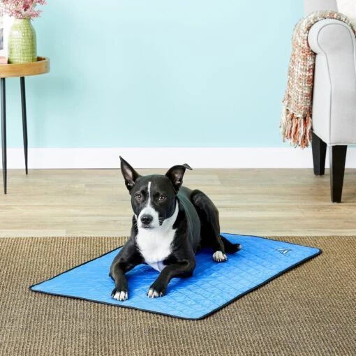 TechNiche International Evaporative Cooling Dog Pad -Dog Supplies 114573 MAIN. AC SS1800 V1567528199