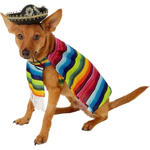 Rubie's Costume Company Serape Dog & Cat Costume -Dog Supplies 117128 MAIN. AC SS1800 V1539962602