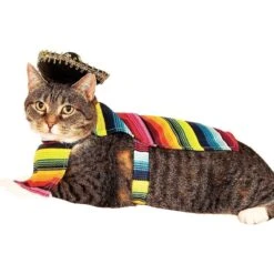 Rubie's Costume Company Serape Dog & Cat Costume -Dog Supplies 117128 PT2. AC SS1800 V1539983906