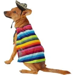 Rubie's Costume Company Serape Dog & Cat Costume -Dog Supplies 117128 PT5. AC SS1800 V1539983912