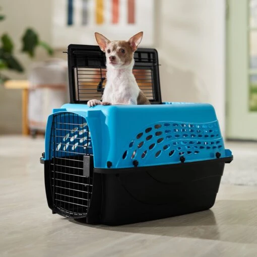 Frisco Two Door Top Load Plastic Dog & Cat Kennel -Dog Supplies 122125 MAIN. AC SS1800 V1674156716