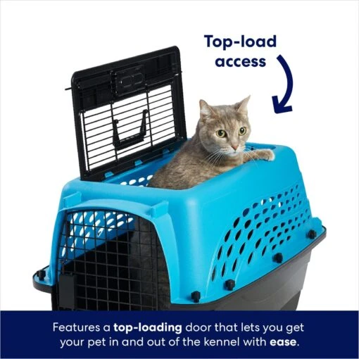 Frisco Two Door Top Load Plastic Dog & Cat Kennel -Dog Supplies 122125 PT3. AC SS1800 V1667229145