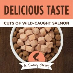 Instinct Healthy Cravings Grain-Free Cuts & Gravy Real Salmon Recipe Wet Dog Food Topper -Dog Supplies 122333 PT2. AC SS1800 V1701880993