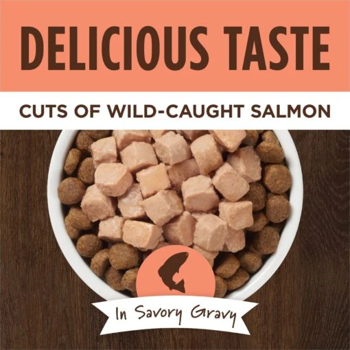 Instinct Healthy Cravings Grain-Free Cuts & Gravy Real Salmon Recipe Wet Dog Food Topper -Dog Supplies 122333 PT2. AC SS1800 V1701880993