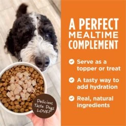 Instinct Healthy Cravings Grain-Free Cuts & Gravy Real Salmon Recipe Wet Dog Food Topper -Dog Supplies 122333 PT3. AC SS1800 V1701882020