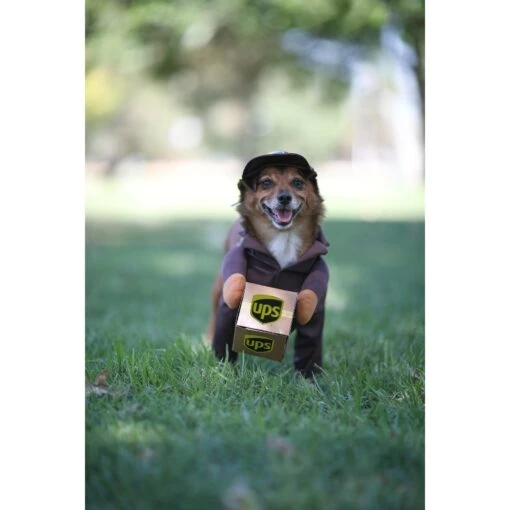 California Costumes UPS Delivery Driver Dog & Cat Costume -Dog Supplies 126528 PT3. AC SS1800 V1567183649