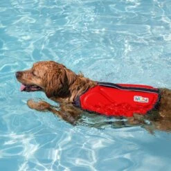 Outward Hound Neoprene Dawson Swimmer Dog Life Jacket -Dog Supplies 127807 PT5. AC SS1800 V1636516376