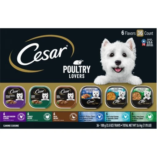 Cesar Poultry Lovers Variety Pack Small Breed Adult Wet Dog Food Trays -Dog Supplies 128541 MAIN. AC SS1800 V1695648878