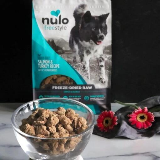 Nulo Freestyle Salmon & Turkey Recipe With Strawberries Grain-Free Freeze-Dried Raw Dog Food -Dog Supplies 135482 PT2. AC SS1800 V1667865011