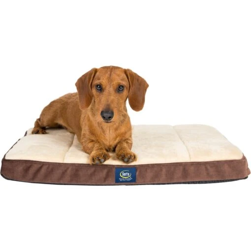 Serta Orthopedic Memory Foam Dog & Cat Crate Mat, Mocha -Dog Supplies 135515 PT1. AC SS1800 V1508878663