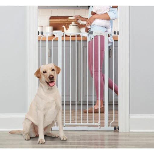 Regalo Pet Products Easy Step Extra Tall Walk-Through Dog Gate -Dog Supplies 136774 MAIN. AC SS1800 V1609283870