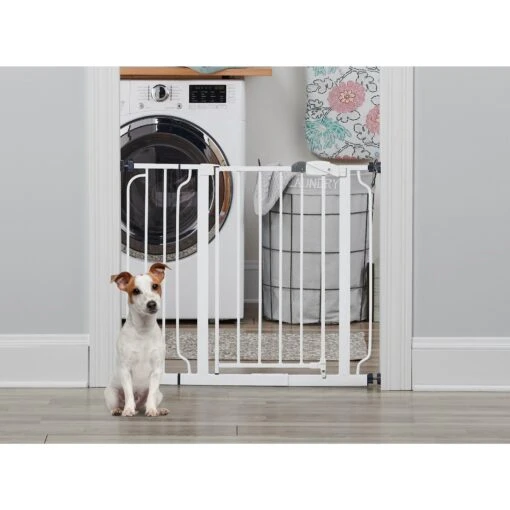 Regalo Pet Products Easy Step Walk-Through Dog Gate -Dog Supplies 136782 MAIN. AC SS1800 V1592951813