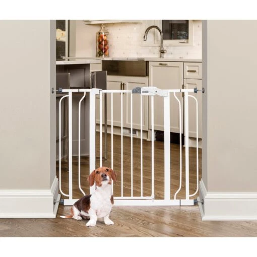 Regalo Pet Products Easy Step Extra Wide Walk-Through Dog Gate -Dog Supplies 136797 MAIN. AC SS1800 V1592946418