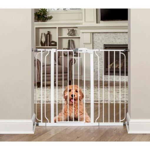 Regalo Pet Products Widespan Extra Tall Walk-Through Dog Gate -Dog Supplies 136799 MAIN. AC SS1800 V1592942198