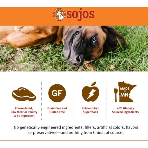 Sojos Complete Lamb Recipe Adult Grain-Free Freeze-Dried Dehydrated Dog Food -Dog Supplies 139205 PT4. AC SS1800 V1611088599