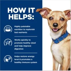 Hill's Prescription Diet I/d Digestive Care Small Bites Chicken Flavor Dry Adult & Puppy Dog Food -Dog Supplies 141044 PT4. AC SS1800 V1687982888