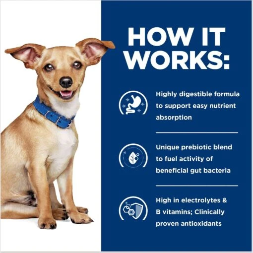 Hill's Prescription Diet I/d Digestive Care Small Bites Chicken Flavor Dry Adult & Puppy Dog Food -Dog Supplies 141044 PT5. AC SS1800 V1687982888