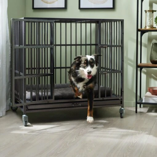 Frisco Ultimate Heavy Duty Steel Metal Single Door Dog Crate -Dog Supplies 141213 MAIN. AC SS1800 V1667228762