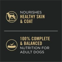 Purina Pro Plan Complete Essentials Entrees Wet Dog Food Variety Pack -Dog Supplies 141297 PT4. AC SS1800 V1671813832