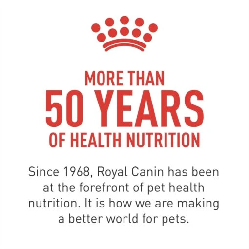 Royal Canin Breed Health Nutrition Shih Tzu Adult Loaf In Sauce Canned Dog Food -Dog Supplies 142487 PT3. AC SS1800 V1696538483