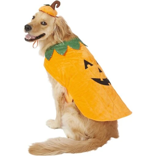 Frisco Pumpkin Dog & Cat Costume -Dog Supplies 144446 MAIN. AC SS1800 V1540495184