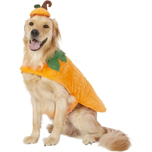 Frisco Pumpkin Dog & Cat Costume -Dog Supplies 144446 PT2. AC SS1800 V1567174700