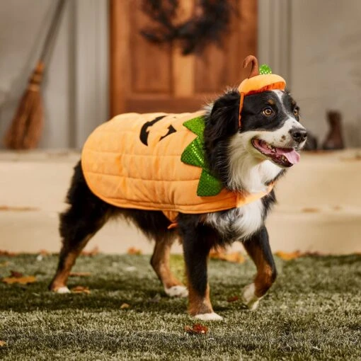 Frisco Pumpkin Dog & Cat Costume -Dog Supplies 144446 PT7. AC SS1800 V1567180408