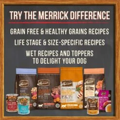 Merrick Grain-Free Wet Puppy Food Puppy Plate Beef Recipe -Dog Supplies 144744 PT8. AC SS1800 V1615252620