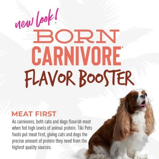 Tiki Dog Born Carnivore Flavor Booster Beef Bisque Non-GMO Wet Dog Food Topper -Dog Supplies 145236 PT6. AC SS1800 V1701796186