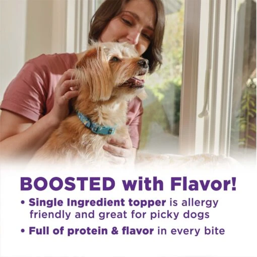 Wellness CORE Bowl Boosters Bare Beef Freeze-Dried Dog Food Mixer Or Topper -Dog Supplies 145474 PT3. AC SS1800 V1703709258