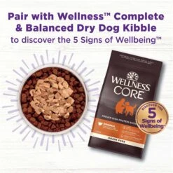 Wellness CORE Bowl Boosters Bare Beef Freeze-Dried Dog Food Mixer Or Topper -Dog Supplies 145474 PT4. AC SS1800 V1703709380