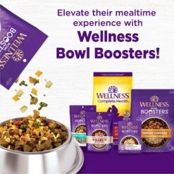 Wellness CORE Bowl Boosters Bare Beef Freeze-Dried Dog Food Mixer Or Topper -Dog Supplies 145474 PT5. AC SS1800 V1703709197