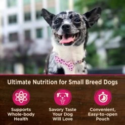 Wellness CORE Grain-Free Small Breed Mini Meals Shredded Chicken & Turkey In Gravy Dog Food Pouches -Dog Supplies 145502 PT2. AC SS1800 V1611776194