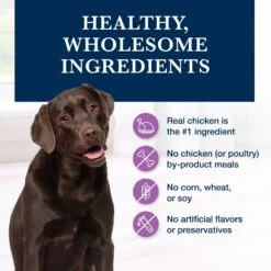 Blue Buffalo Natural Veterinary Diet W+U Weight Management + Urinary Care Chicken Wet Dog Food -Dog Supplies 147694 PT5. AC SS1800 V1695132225