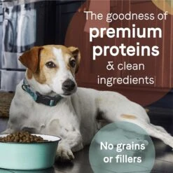 CANIDAE Grain-Free PURE Limited Ingredient Bison, Lentil & Carrot Recipe Dry Dog Food -Dog Supplies 148596 PT4. AC SS1800 V1643676737