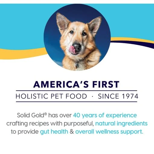 Solid Gold Beef Bone Broth With Turmeric Dog Food Topper -Dog Supplies 149307 PT8. AC SS1800 V1604619507