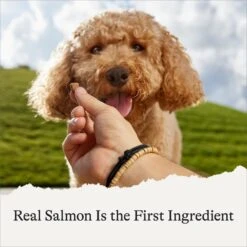 American Journey Salmon Recipe Grain-Free Soft & Chewy Training Bits Dog Treats -Dog Supplies 151162 PT4. AC SS1800 V1567707747