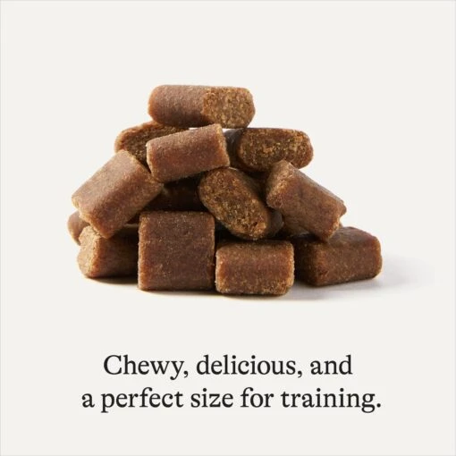 American Journey Salmon Recipe Grain-Free Soft & Chewy Training Bits Dog Treats -Dog Supplies 151162 PT5. AC SS1800 V1567700233