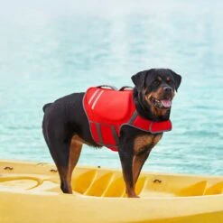 Frisco Neoprene Dog Life Jacket -Dog Supplies 152465 PT7. AC SS1800 V1631058734